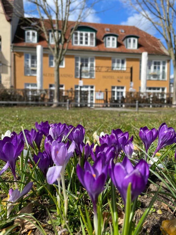 Altes Kasino Hotel Am See Neuruppin Zewnętrze zdjęcie